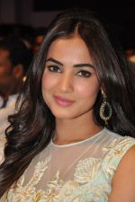 Sonal Chauhan at Pandaga Chesko Audio Launch on 1st may 2015